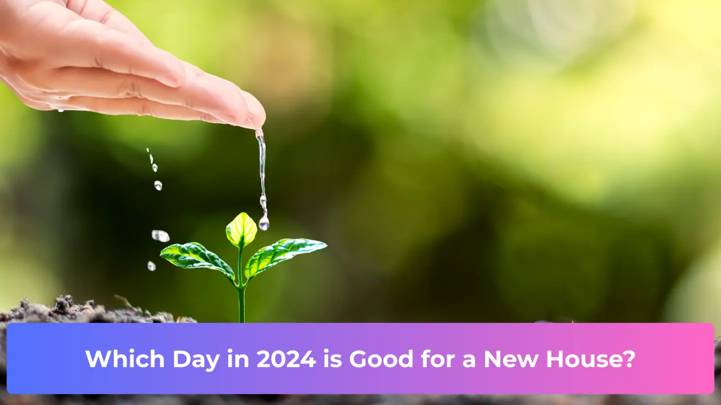 Which Day in 2024 is Good for a New House?